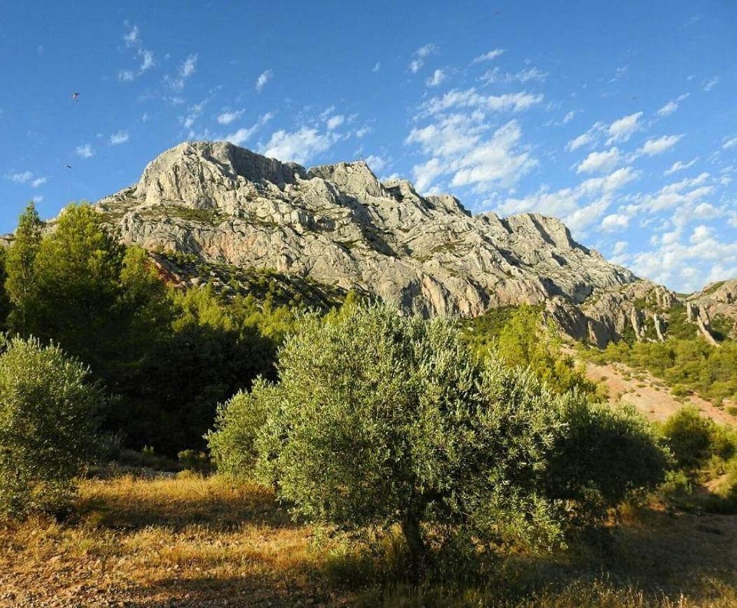 Chambre D'Hotes Le Secadou Λα Σιοτά Εξωτερικό φωτογραφία